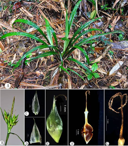 йȴũҵѧԺרҷɯݿһ֡ɽ̦