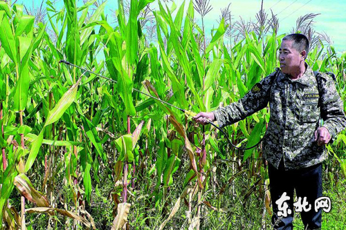 �ں��ֺ��ؽ���ũҵ������������ �Ż�ˮ���������վ��գ�ͼ��1��