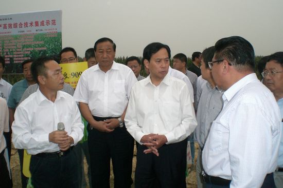 玉米高产高效综合技术生产模式研究取得成效2