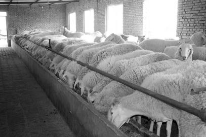 ת���������Ŀ�����ʽ�ƿ��������ʢ��������ڶ���ֳ��������̾