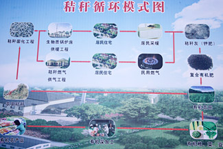 �ִ�ѭ��ũҵ�����޴��ѱ�ЧӦ��ͼ��3��