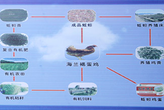 �ִ�ѭ��ũҵ�����޴��ѱ�ЧӦ��ͼ��5��