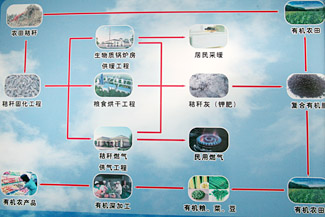 �ִ�ѭ��ũҵ�����޴��ѱ�ЧӦ��ͼ��4��