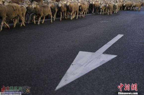 ��������Ⱥ�Ͻ� ������������Ǩ�ƹŵ���ͼ��4��