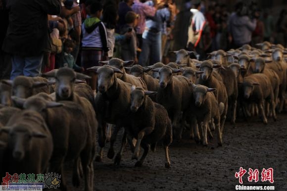 ��������Ⱥ�Ͻ� ������������Ǩ�ƹŵ���ͼ��3��