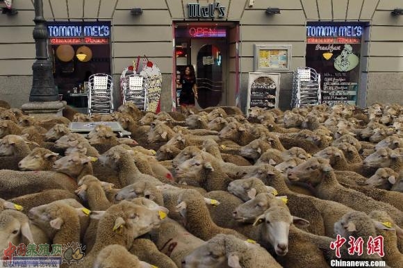 ��������Ⱥ�Ͻ� ������������Ǩ�ƹŵ���ͼ��1��