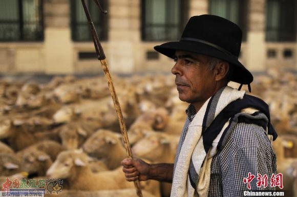 ��������Ⱥ�Ͻ� ������������Ǩ�ƹŵ���ͼ��2��