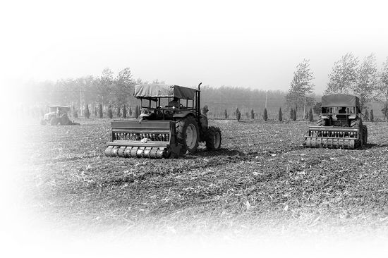 截至10月10日 安徽全省小麦播种逾千万亩