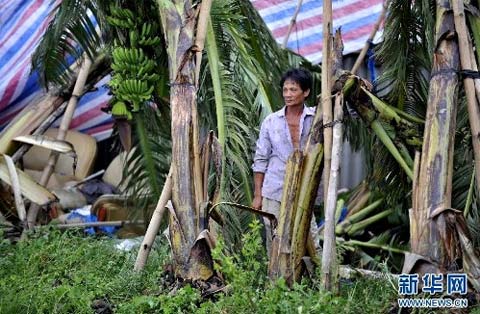 专家探秘今秋台风为何接踵而来