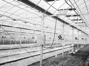 ǻũҵЧũ· ȫ̲ٿظũҵ