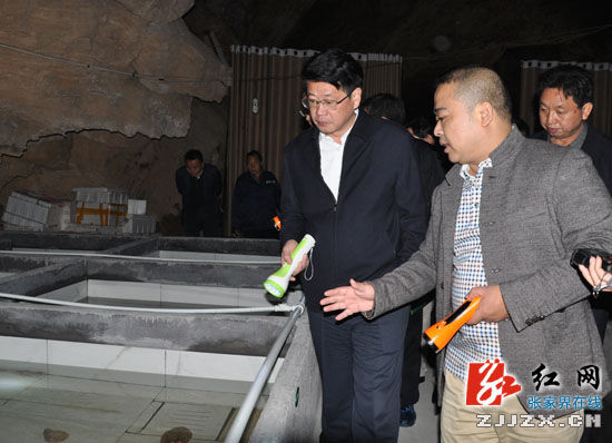 实地考察永定区新桥镇柏家峪村雪峰大鲵养殖基地
