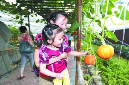 城市跟着产业走綦江建山水田园卫星城