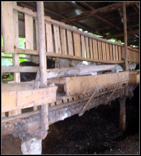 �ֱ�ũ�����׬Ǯ ���������������