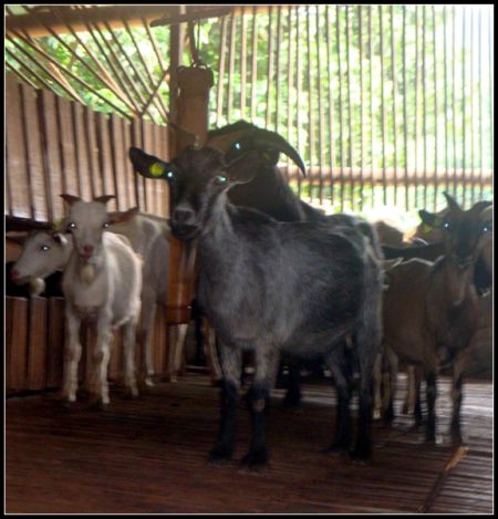 �ֱ�ũ�����׬Ǯ ���������������2