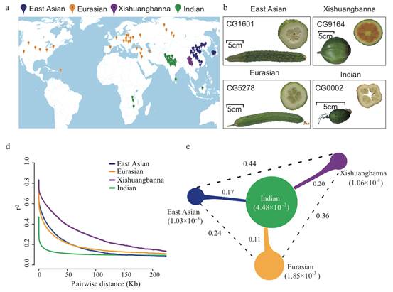黄瓜全基因组遗传变异图谱构建完成2