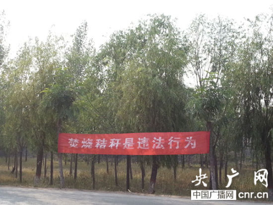 107国道磁县段路边横幅宣传禁烧秸秆 河北邯郸对焚烧秸秆重罚罚款打到个人账户
