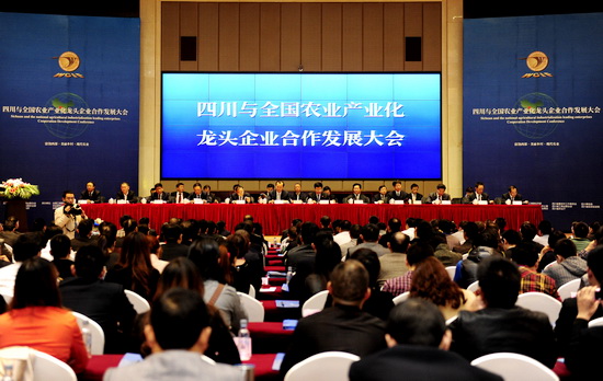 ڿ𣺺ƶͷҵӪ ӿƽũҵҵչ