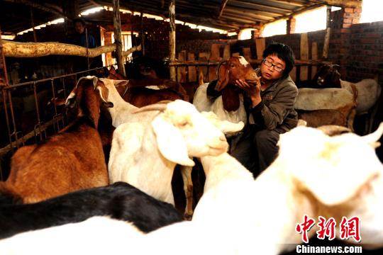 �㰲�����ѧ���ġ����ġ���