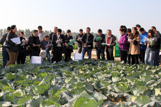 йũԺ߲ƳӦ＾Խֲʮֻ߲Ʒ