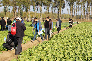 йũԺ߲ƳӦ＾Խֲʮֻ߲Ʒ2