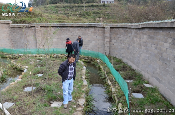 ÿ춼ᵽԼķֳѲӡ