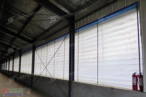 高寒地区的绿色牧场 奶业版图的新晋明星(图:4)