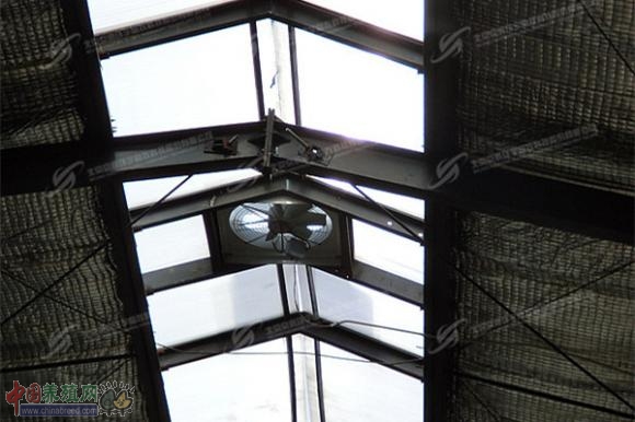 高寒地区的绿色牧场 奶业版图的新晋明星(图:7)