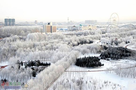 高寒地区的绿色牧场 奶业版图的新晋明星(图:1)