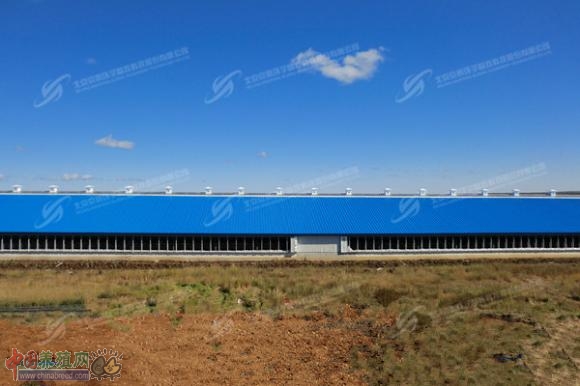 高寒地区的绿色牧场 奶业版图的新晋明星(图:11)