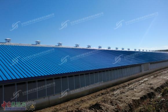 高寒地区的绿色牧场 奶业版图的新晋明星(图:5)