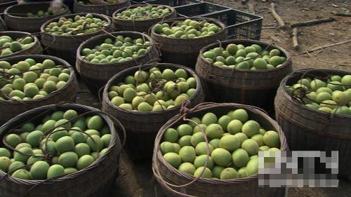 أ֧鷶컷޺֮·¸ͼ2