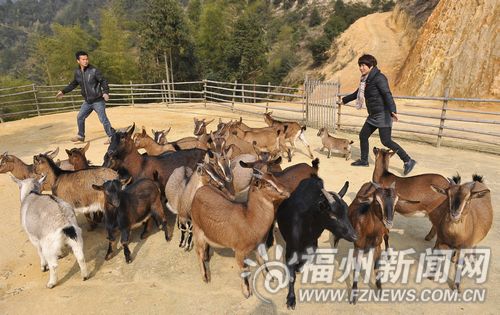 Ů޹ֳ̬ ǧĶɽ䱦ɽ