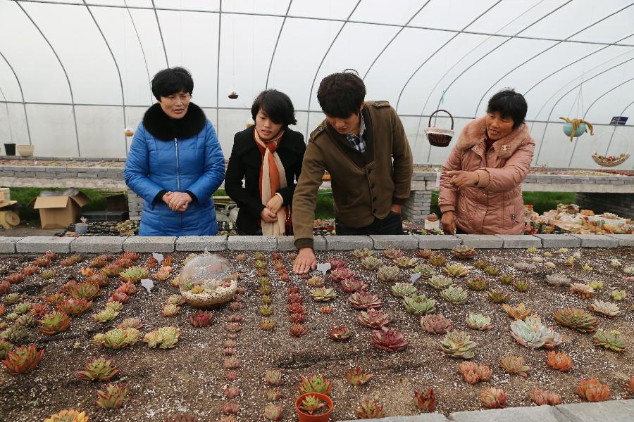 14գȪ棨Ҷ˿ͽֲܶ