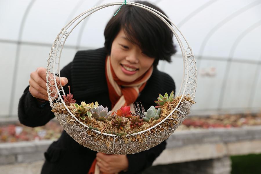 14գһιҦСֲ̩ܶ԰ڲιۡ