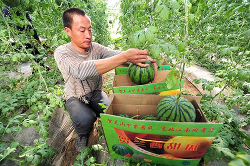 ĺϰƽִʩũҵʾ԰ڣũͶ㸲ǽչڽϡװ׼سۣ19㣩 