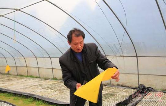 退休农业干部“解甲归田”致富家乡