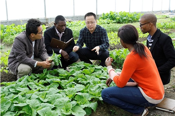 йȿԺнӹԭܻũƷѵ