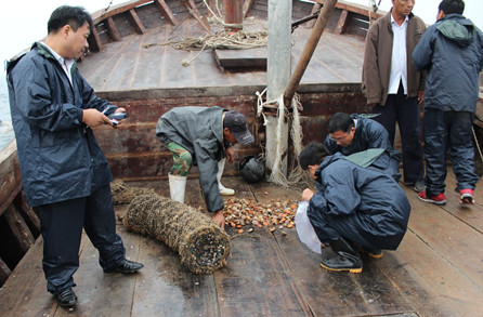 ˮԺƺѧչȾ¹ ӱͽл