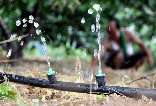 这是2013年7月10日,山东省沂源县西里镇涌泉村的农民通过新建成的风光电能节水灌溉项目为桃树浇水,该项目的风力发电机和多晶硅太阳能组件构成了风光互补的电源及动力系统,将风能和光能转化成电能,引水上山实现了高效灌溉。2014年中央一号文件指出,分区域规模化推进高效节水灌溉行动。
