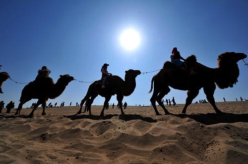 ĻɳοڳմԽɳĮ2013103㣩