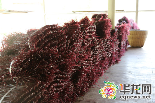 外出打工16年 如今回家扛起锄头种特色农产品致富