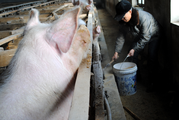 赵维新带头示范引领农民兄弟圆致富梦2