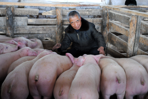 赵维新带头示范引领农民兄弟圆致富梦