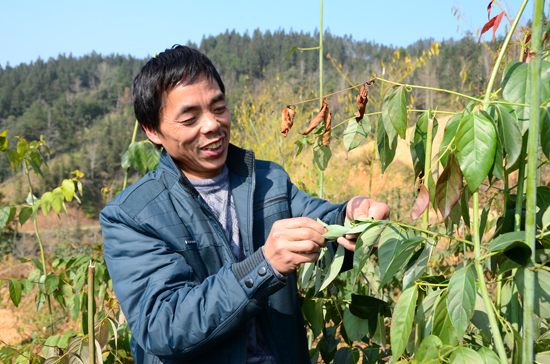 2014119գ˵ϲԼҩĻ鿴糤