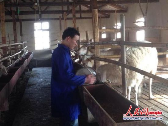 人民网记者新春走基层大学生“羊倌”的创业梦想