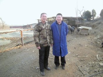 北京顺义跑山猪 三元杂交风味出