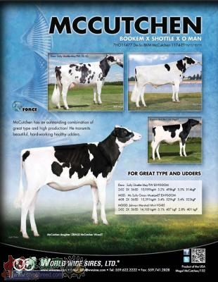 MCCUTCHEN WWSܻӭ깫ţ