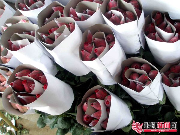 ˽õ幩Ӧ ɽֲһ췢5000֦2