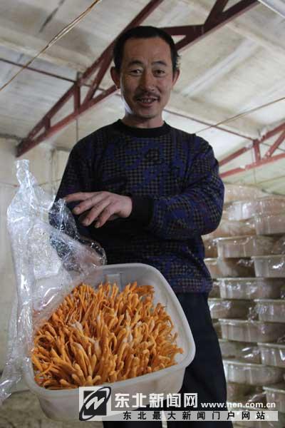 ÁÉÄþ¸§Ë³ÇåÔÏØÅ©ÃñÖ£ÓѺéÖÖÖ²±±³æ²Ýϲ»ñ³É¹¦1