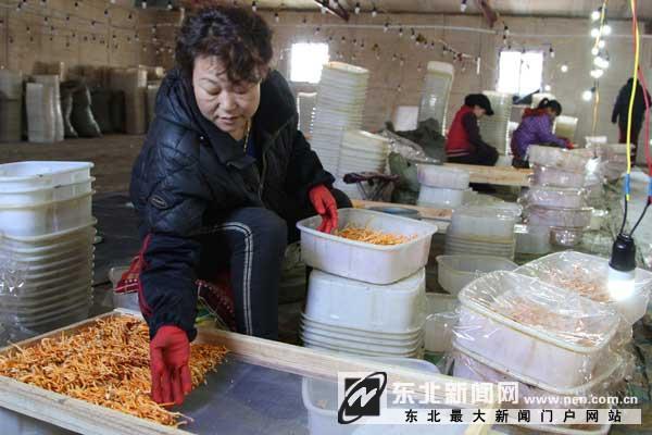 ÁÉÄþ¸§Ë³ÇåÔÏØÅ©ÃñÖ£ÓѺéÖÖÖ²±±³æ²Ýϲ»ñ³É¹¦2